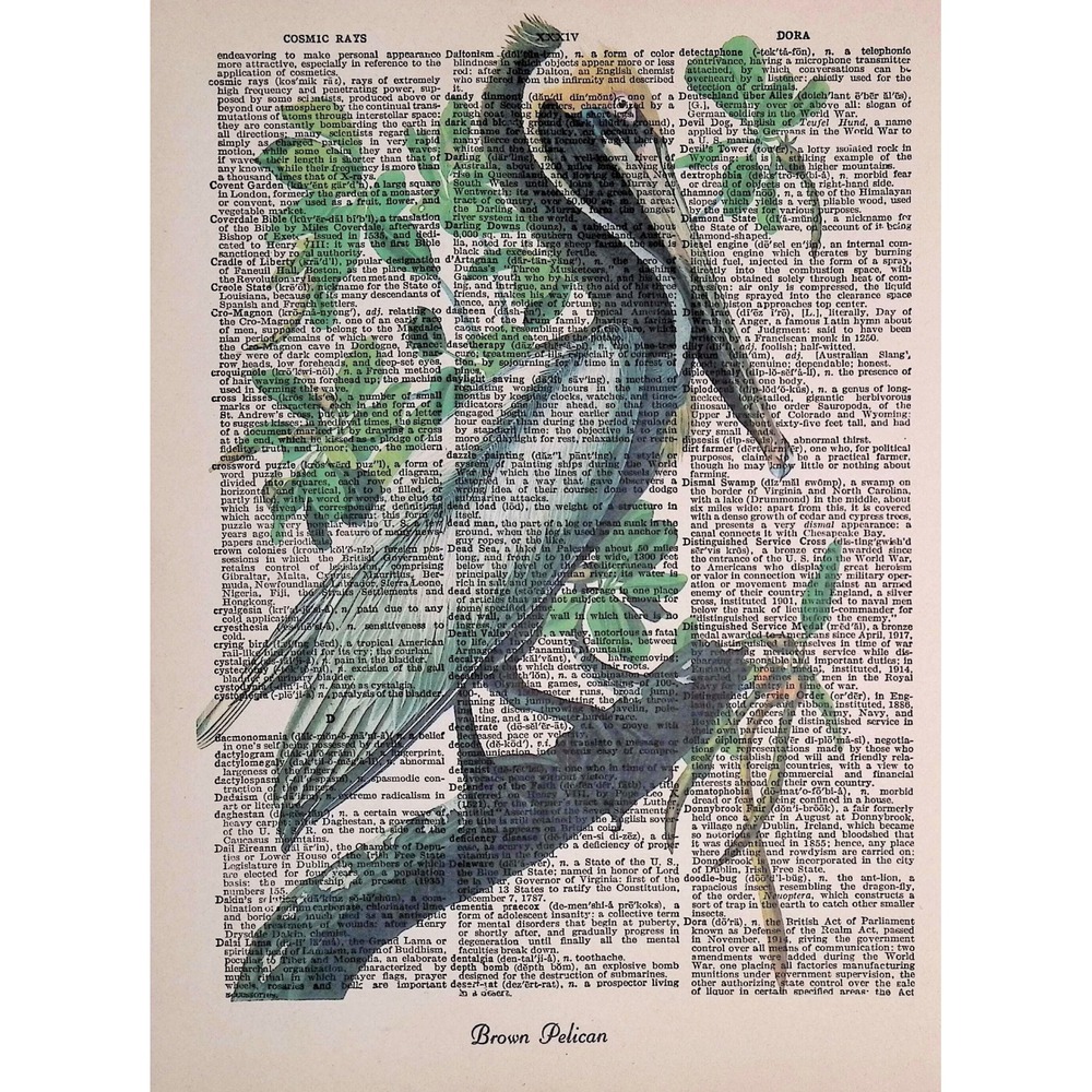 Brown Pelican Dictionary Page Art Vintage Bird Print Coastal Wall Art Decor